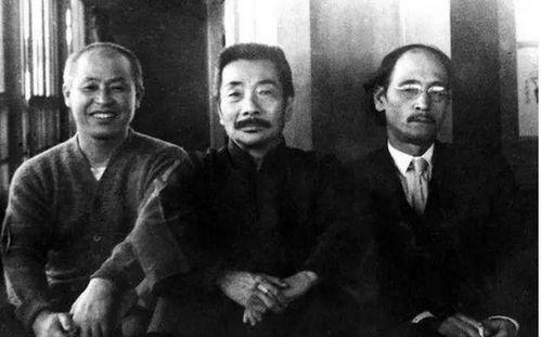 鲁迅最新爆料事件视频全集,揭秘历史真相，视频全集深度解析